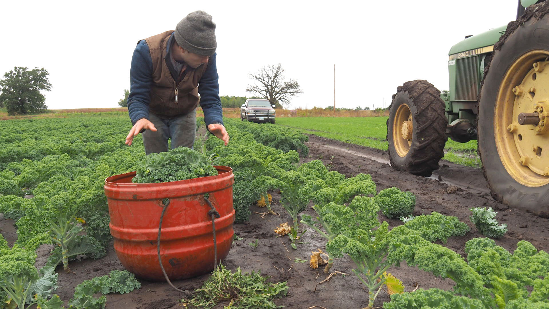 Open Hands Farm